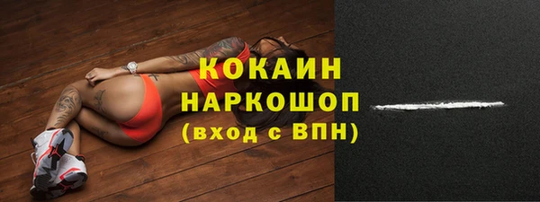 шишки Верхний Тагил