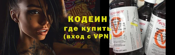 шишки Верхний Тагил