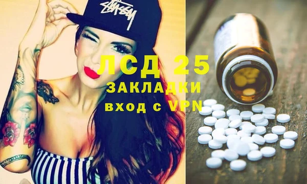 шишки Верхний Тагил