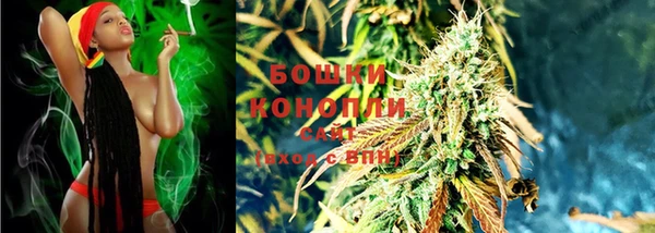 шишки Верхний Тагил