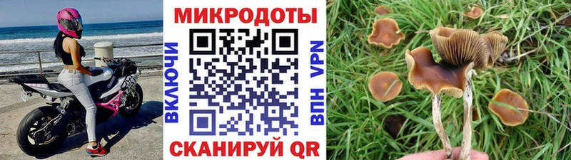купить наркотик  Зуевка  Галлюциногенные грибы GOLDEN TEACHER 